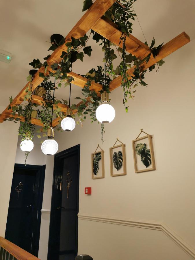 Flamingo Lodge Torquay Eksteriør billede